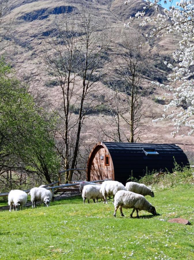 Glencoe Youth Hostel Ballachulish Extérieur photo